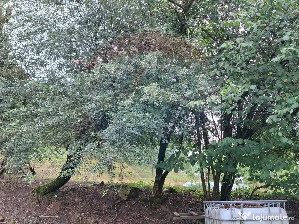 Teren construibil de vânzare 990mp în Barzava, județul...