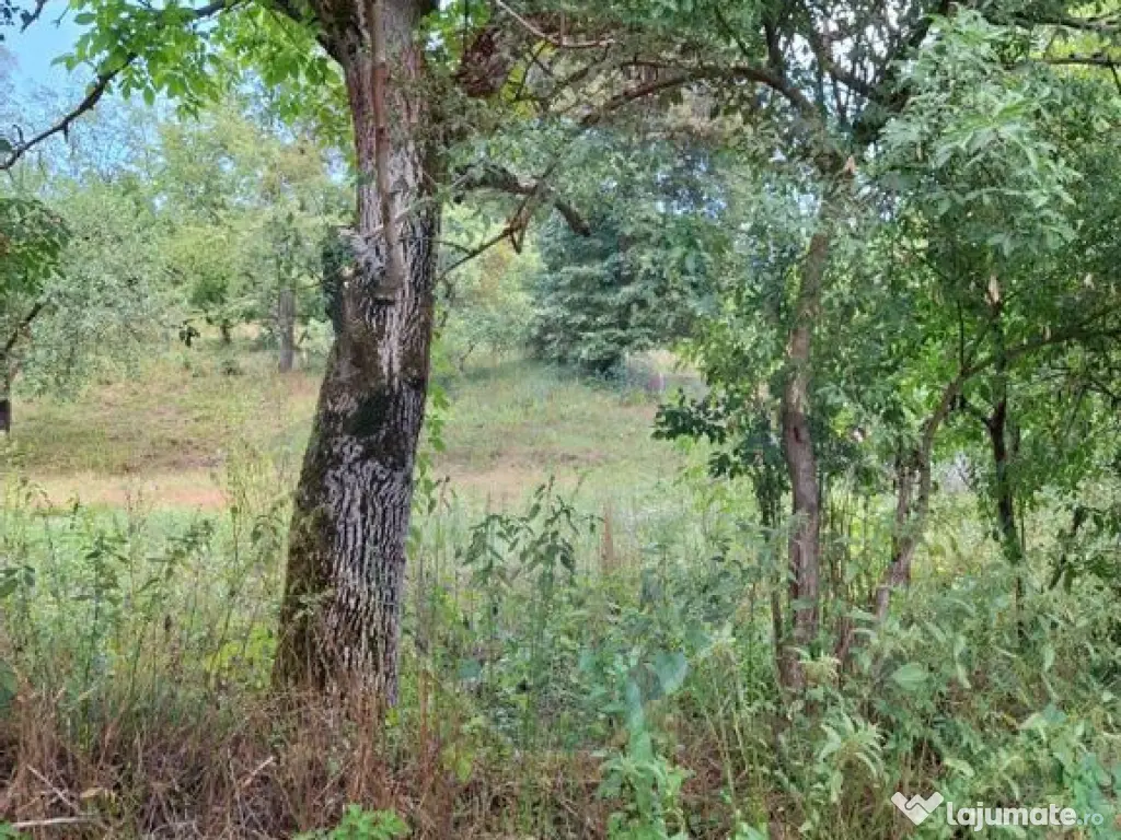 Teren construibil de vânzare 990mp în Barzava, județul...