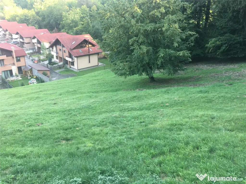 Teren pentru dezvoltatori, 2900mp Noua-Darste