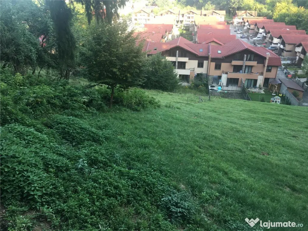 Teren pentru dezvoltatori, 2900mp Noua-Darste