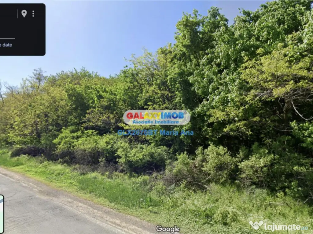 Teren Padure 6.500 mp., la strada, zona Cucorani!