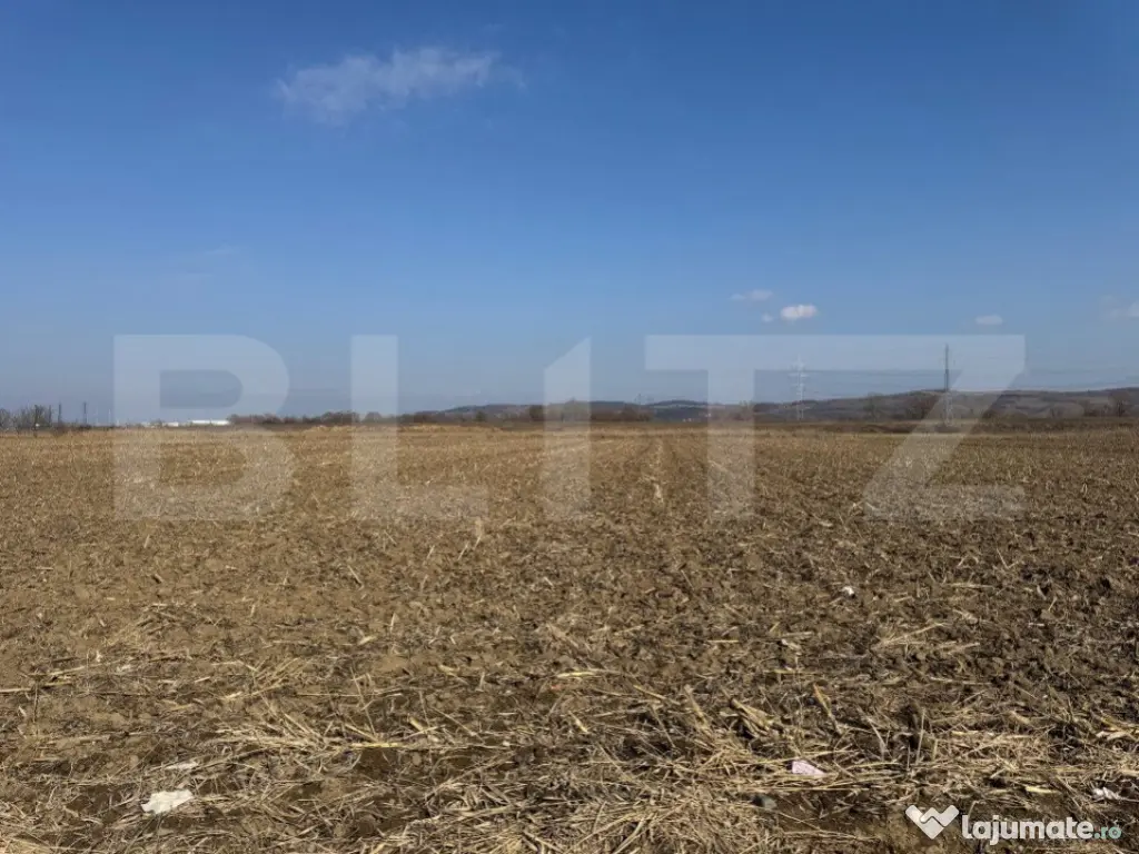 Teren intravilan, 2900 mp, zona Soseaua de centura