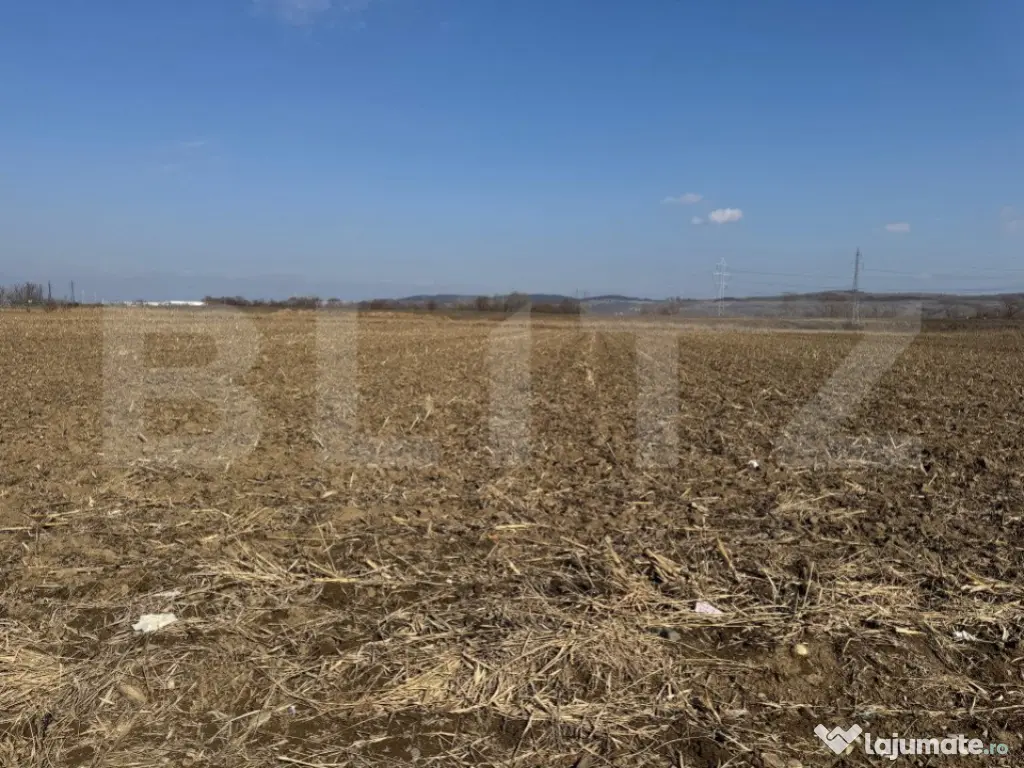 Teren intravilan, 2900 mp, zona Soseaua de centura