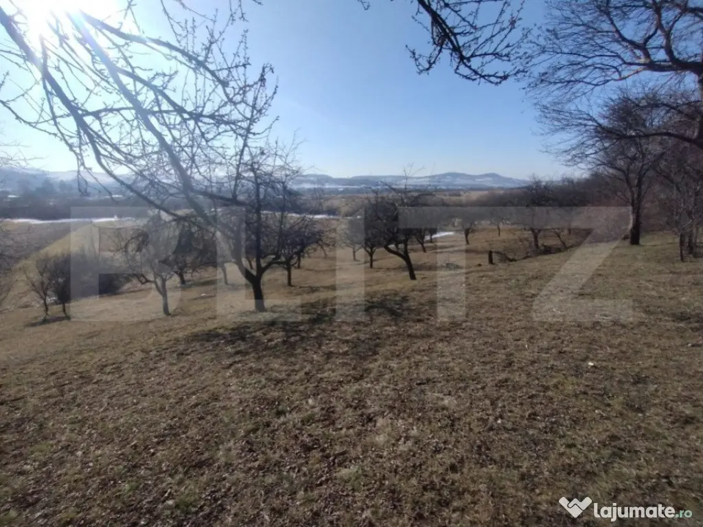 Teren extravilan de vanzare, 25 ari, zona Rusul Bargaului