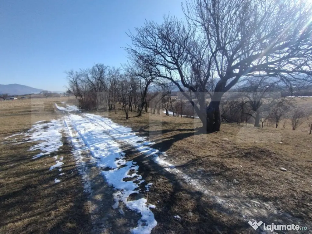 Teren extravilan de vanzare, 25 ari, zona Rusul Bargaului