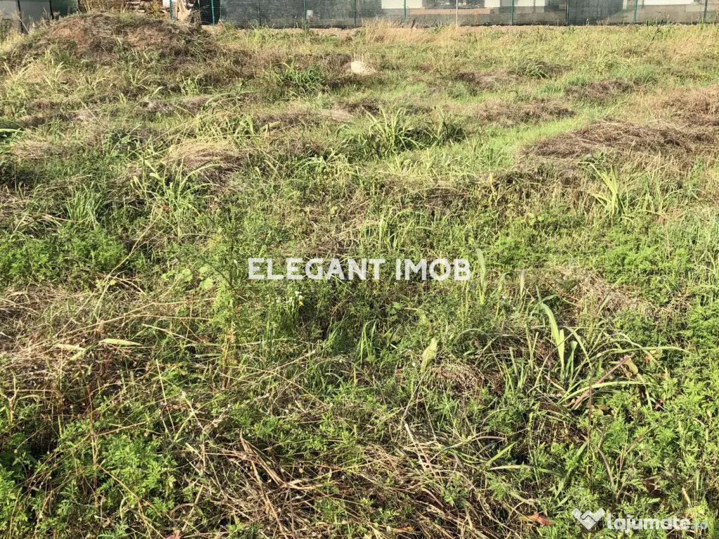 Teren deosebit in Paradisul Verde 