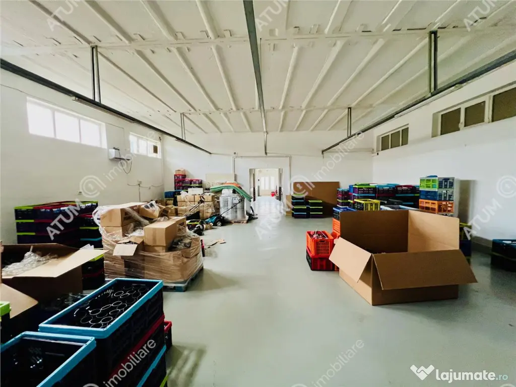Spatiu industrial cu 2 hale si anexe teren 2543 in Hamba jud