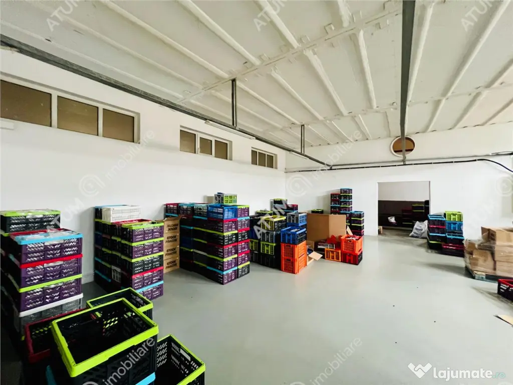 Spatiu industrial cu 2 hale si anexe teren 2543 in Hamba jud