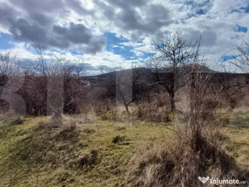 Teren extravilan 2500 mp