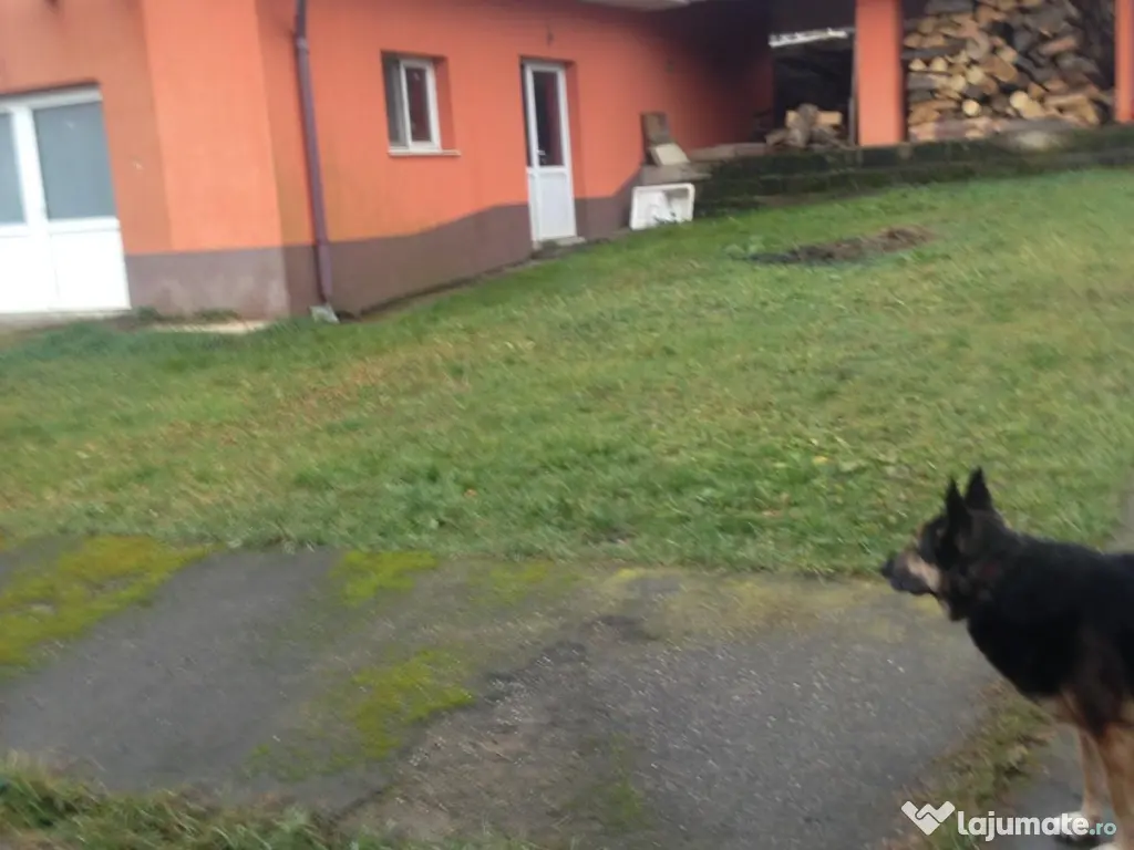 Casa strada Zlaști Hunedoara 