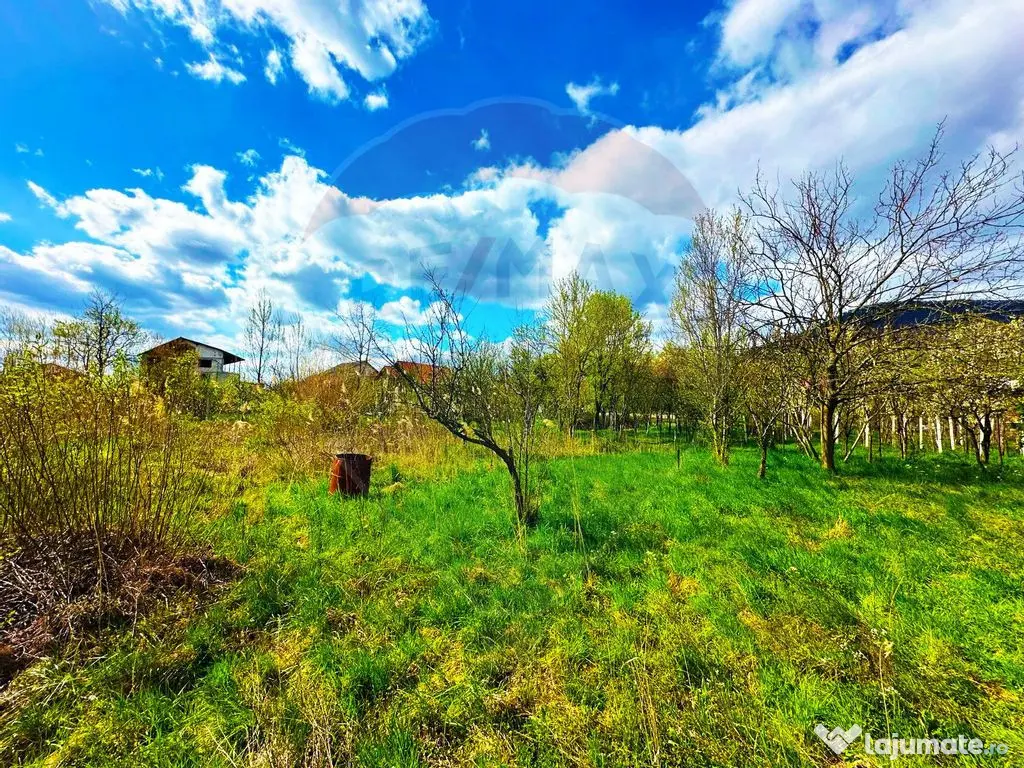 ZONA PREMIUM-TEREN INTRAVILAN 