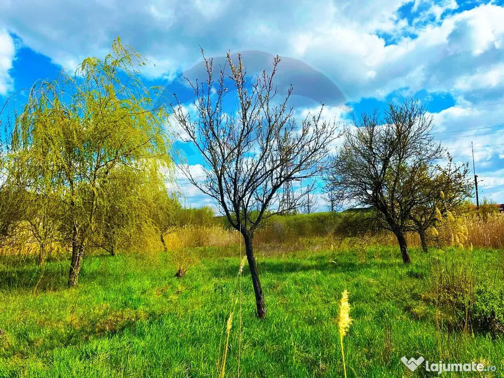 ZONA PREMIUM-TEREN INTRAVILAN