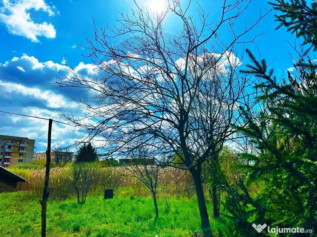 ZONA PREMIUM-TEREN INTRAVILAN 