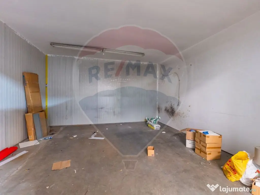 Spațiu industrial Parc Uta 1 - 338 mp utili