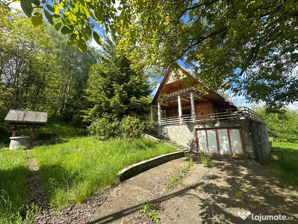 VIGAFON - Casa 4 camere Homoraciu