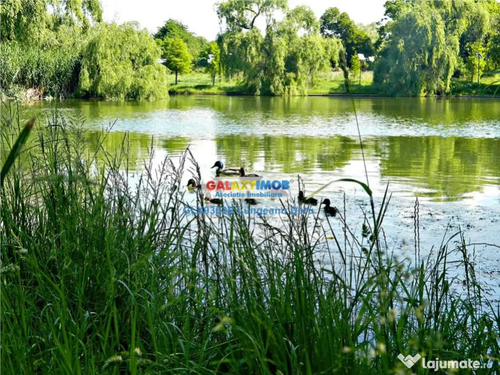 Com Berceni, intravilan 500 mp, Stradal, Curent Electric, Co 