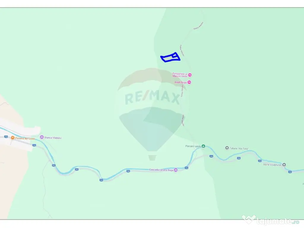 Teren 6700 mp, Apuseni, Pietroasa, Valea Aleului, Bihor, ... 