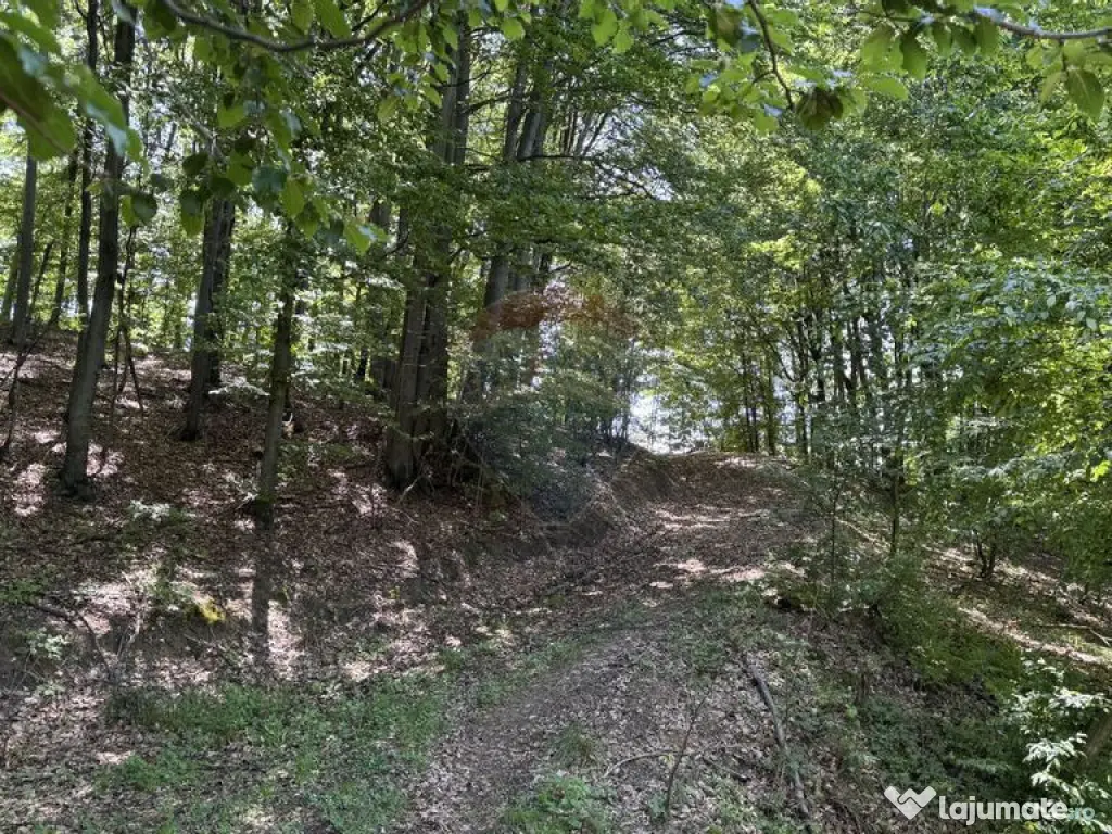 Teren de vanzare SE ACCEPTǍ SCHIMB CU PROPRIETǍȚI ÎN ... 