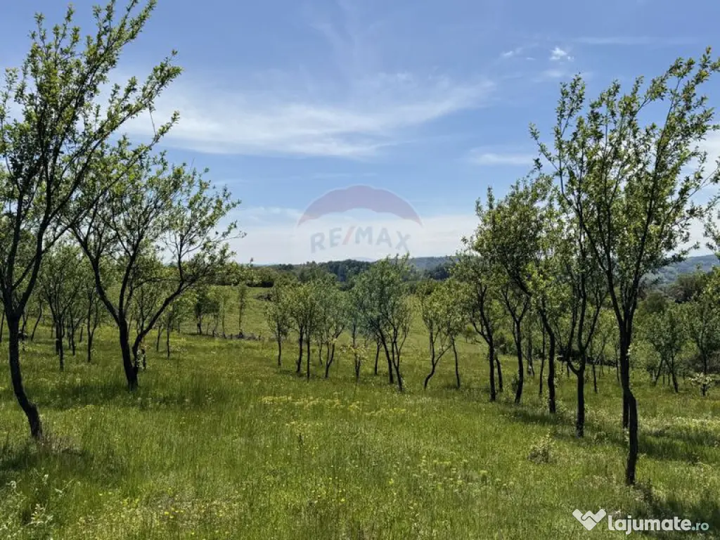 Teren de vanzare SE ACCEPTǍ SCHIMB CU PROPRIETǍȚI ÎN ... 