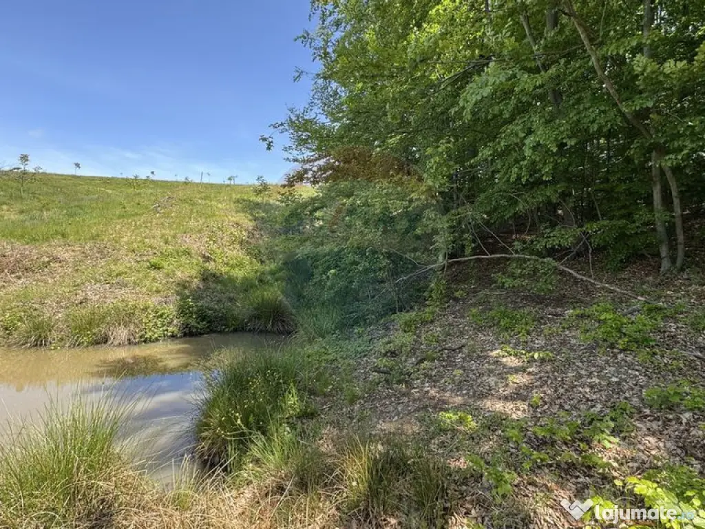 Teren de vanzare SE ACCEPTǍ SCHIMB CU PROPRIETǍȚI ÎN ... 