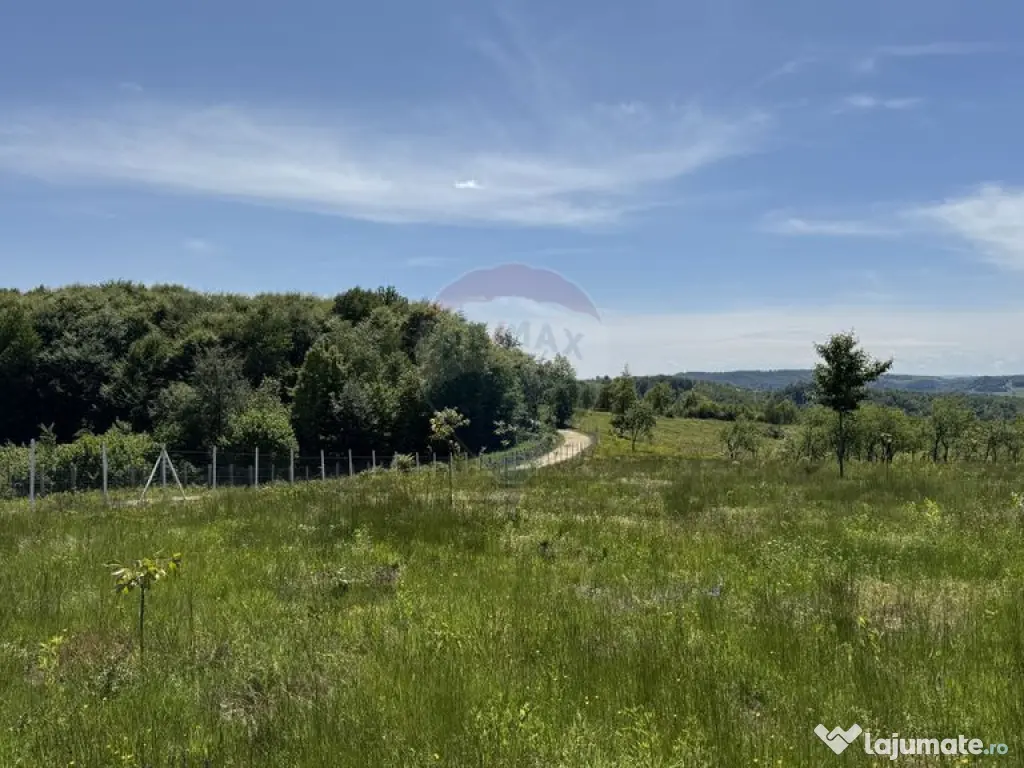 Teren de vanzare SE ACCEPTǍ SCHIMB CU PROPRIETǍȚI ÎN ... 