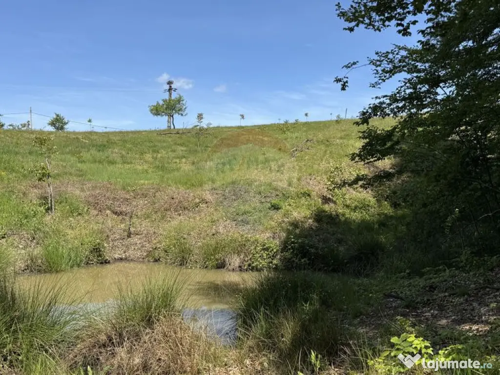 Teren de vanzare SE ACCEPTǍ SCHIMB CU PROPRIETǍȚI ÎN ... 