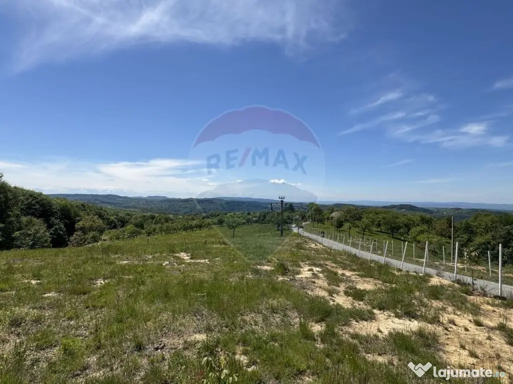 Teren intravilan de vanzare 55 600 mp Codru Butesii 