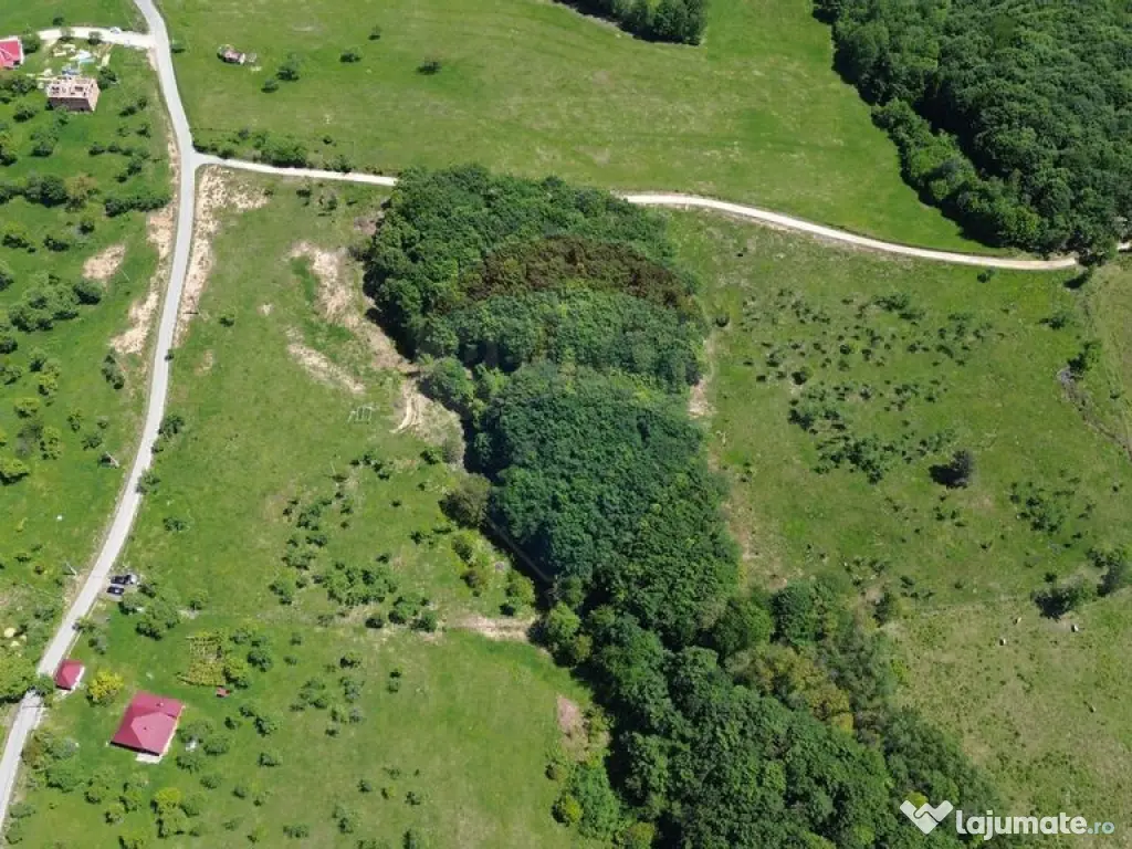 Teren intravilan de vanzare 55 600 mp Codru Butesii 