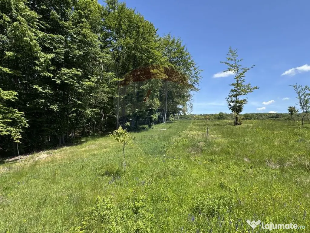 Teren intravilan de vanzare 55 600 mp Codru Butesii 