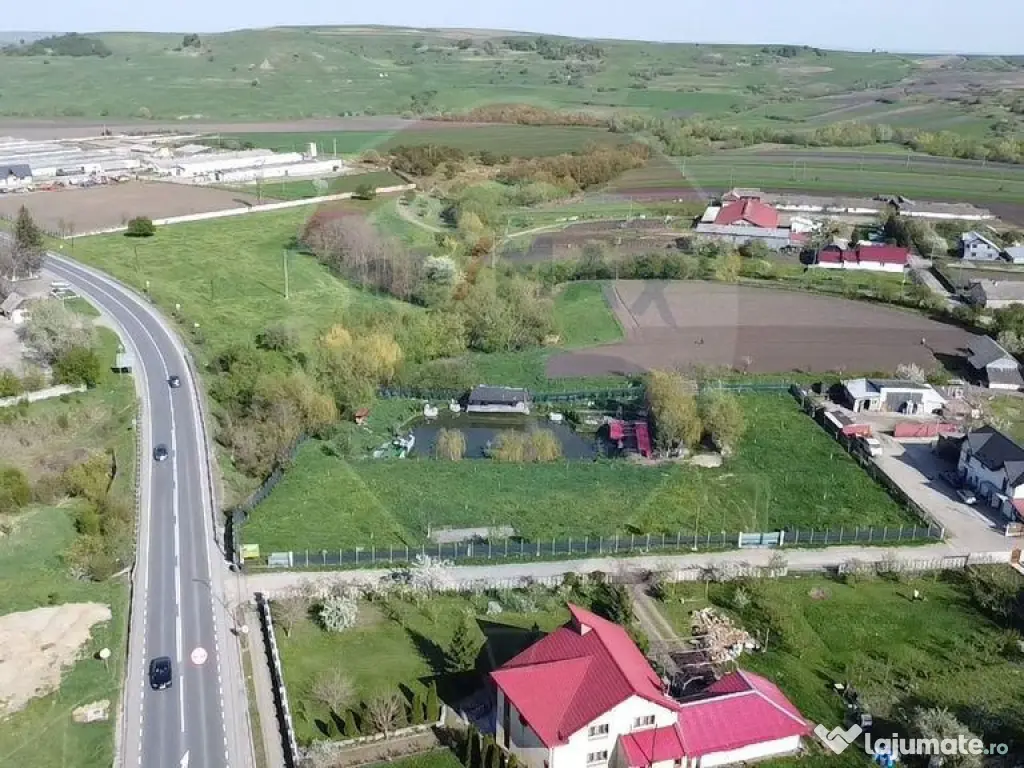 Teren Ilisesti cu Iaz 5174 mp/ Strada Principala 