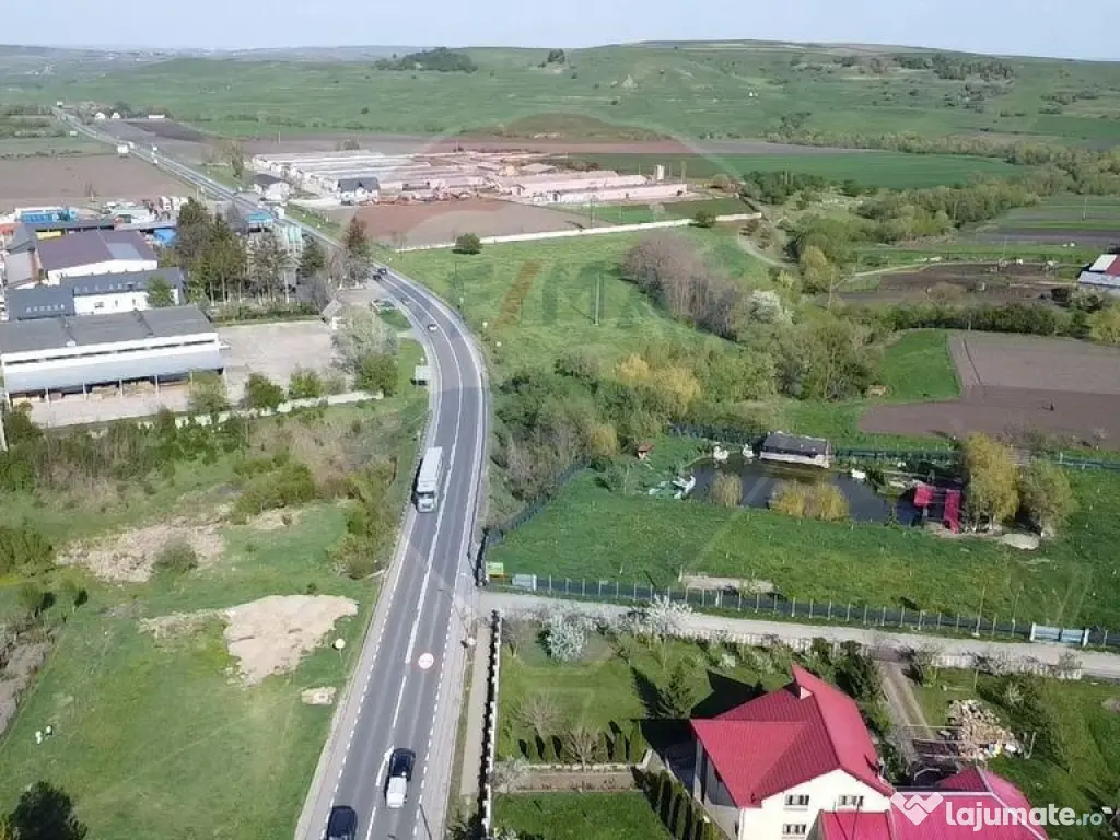 Teren Ilisesti cu Iaz 5174 mp/ Strada Principala 