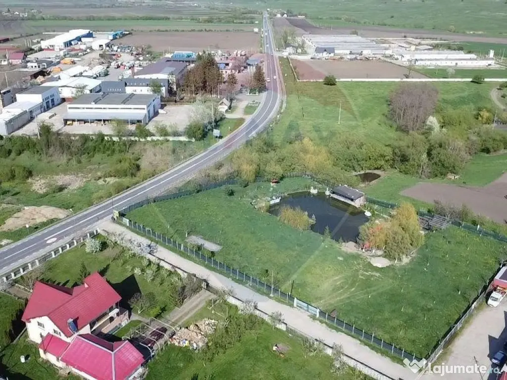 Teren Ilisesti cu Iaz 5174 mp/ Strada Principala 