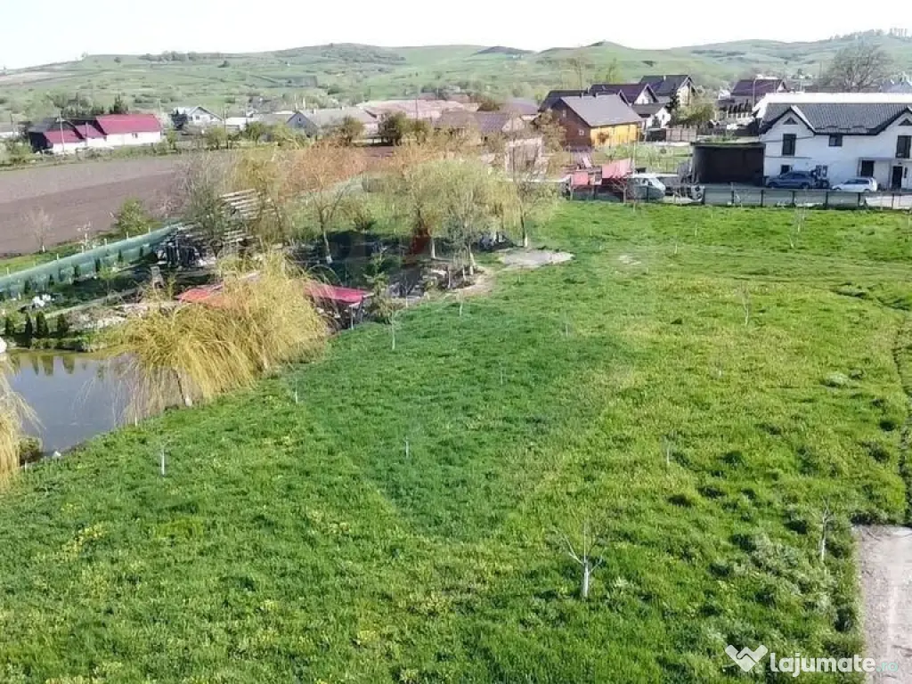 Teren Ilisesti cu Iaz 5174 mp/ Strada Principala 