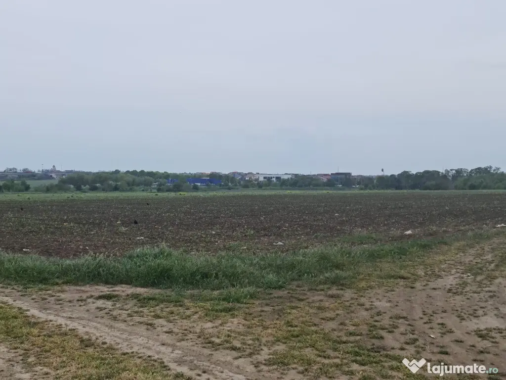 Anunturi vanzari terenuri Constanta zona Logistic Park