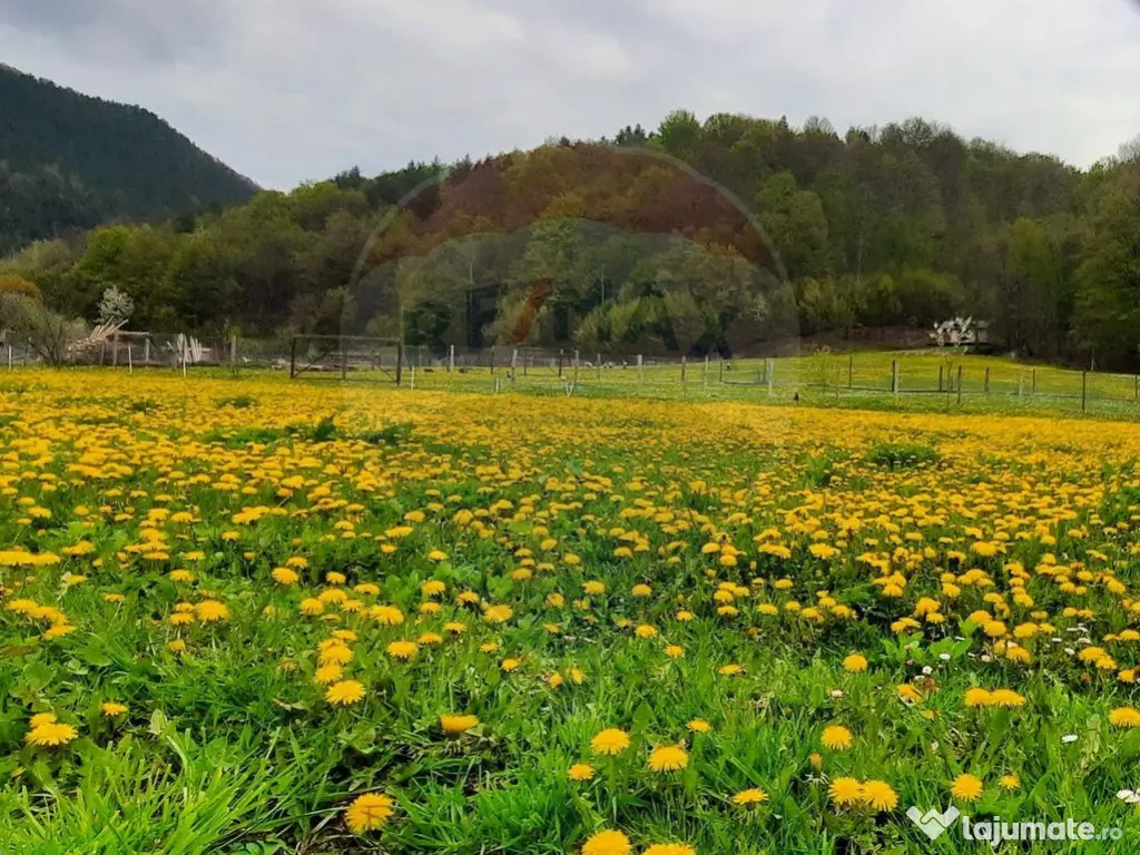 Hotel Tresor - Lepsa. 
