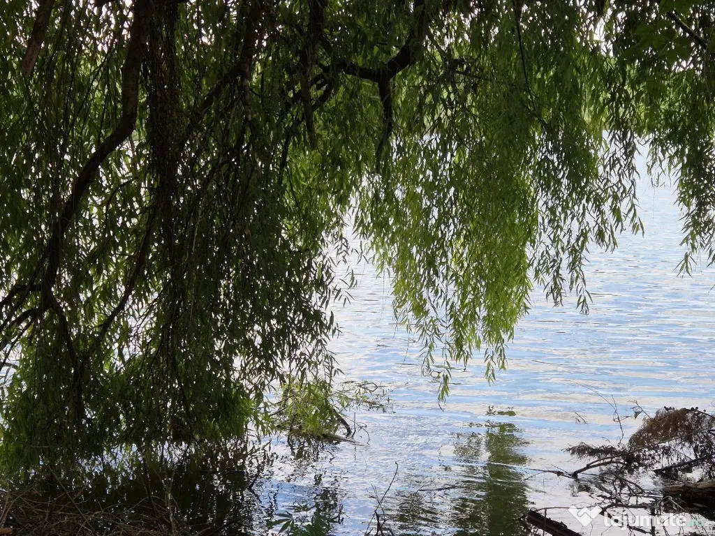 Vilă 7 camere de vânzare Dârvari, Fundulea, Liniște |Spațiu | Natură 