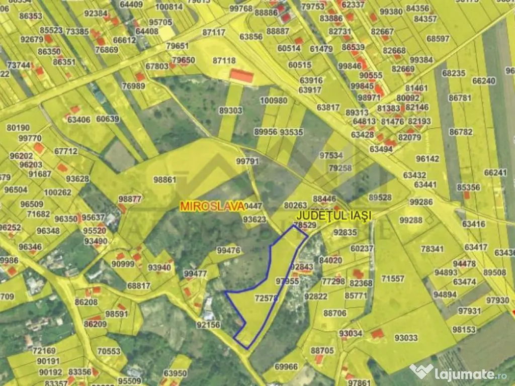 Ciurbesti zona Bisericii TEREN 7000mp intravilan cu utilitat 