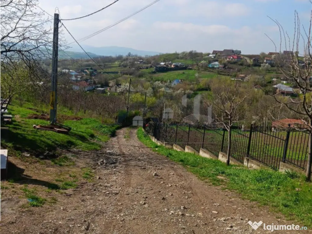 Ciurbesti zona Bisericii TEREN 7000mp intravilan cu utilitat 