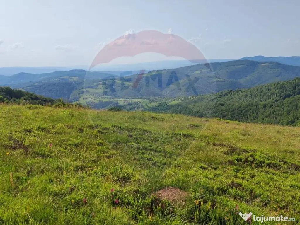 Teren 130000 mp extravilan, faneata si padure, Munteni - ... 