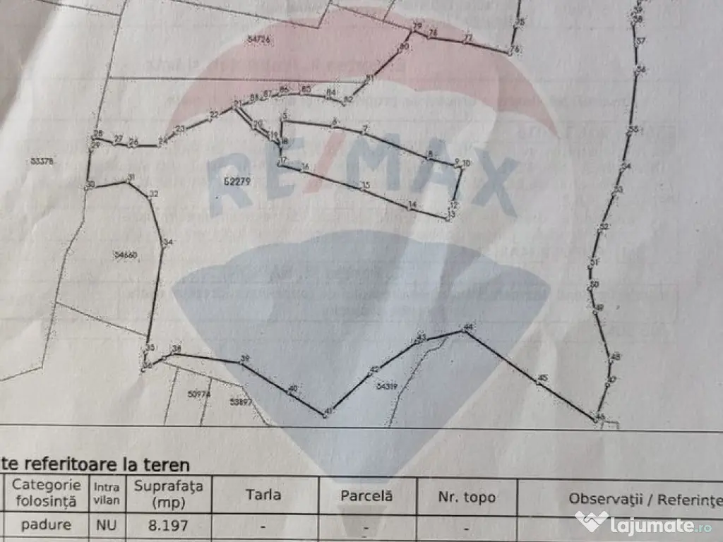 Teren 130000 mp extravilan, faneata si padure, Munteni - ... 