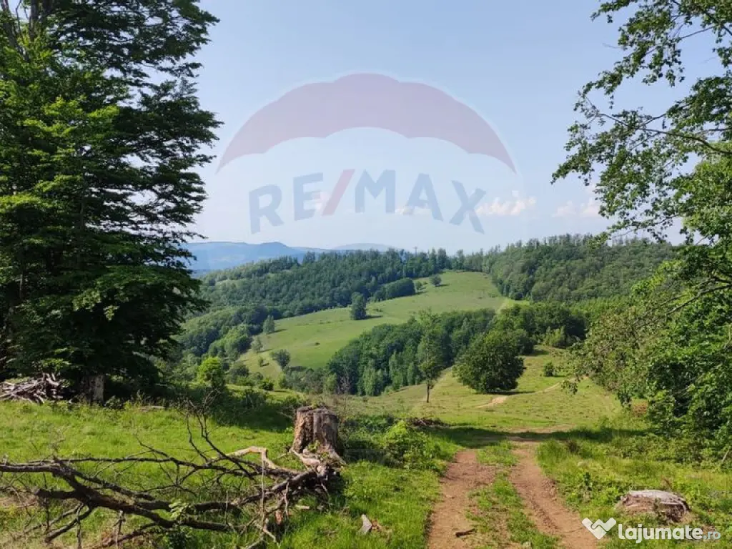 Teren 130000 mp extravilan, faneata si padure, Munteni - ... 