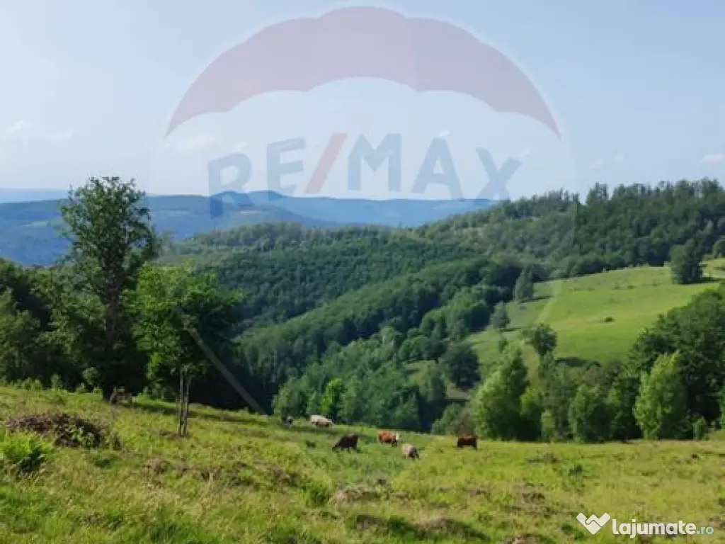 Teren 130000 mp extravilan, faneata si padure, Munteni - ... 