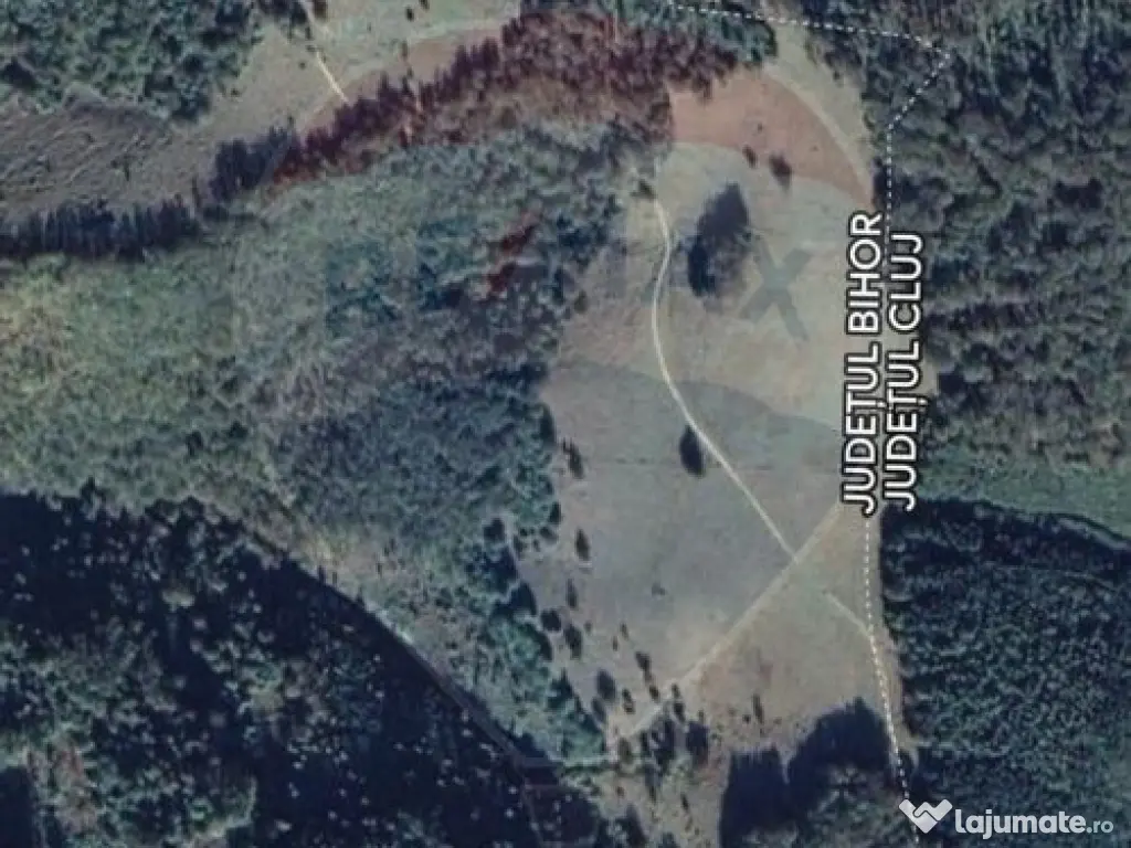 Teren 130000 mp extravilan, faneata si padure, Munteni - ... 