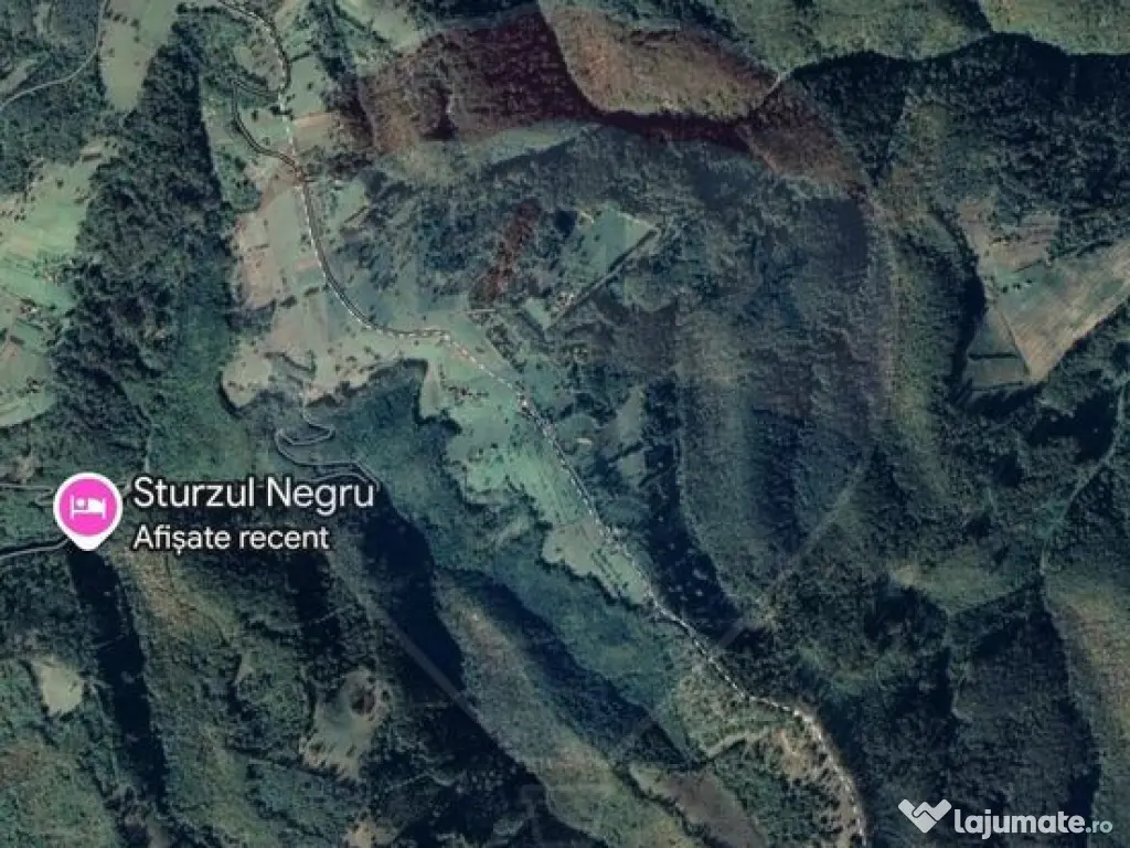 Teren 130000 mp extravilan, faneata si padure, Munteni - ... 