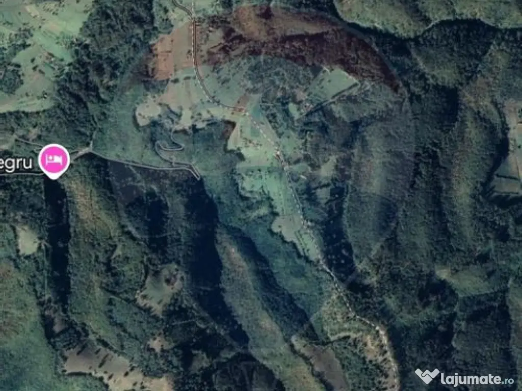 Teren 130000 mp extravilan, faneata si padure, Munteni - ... 