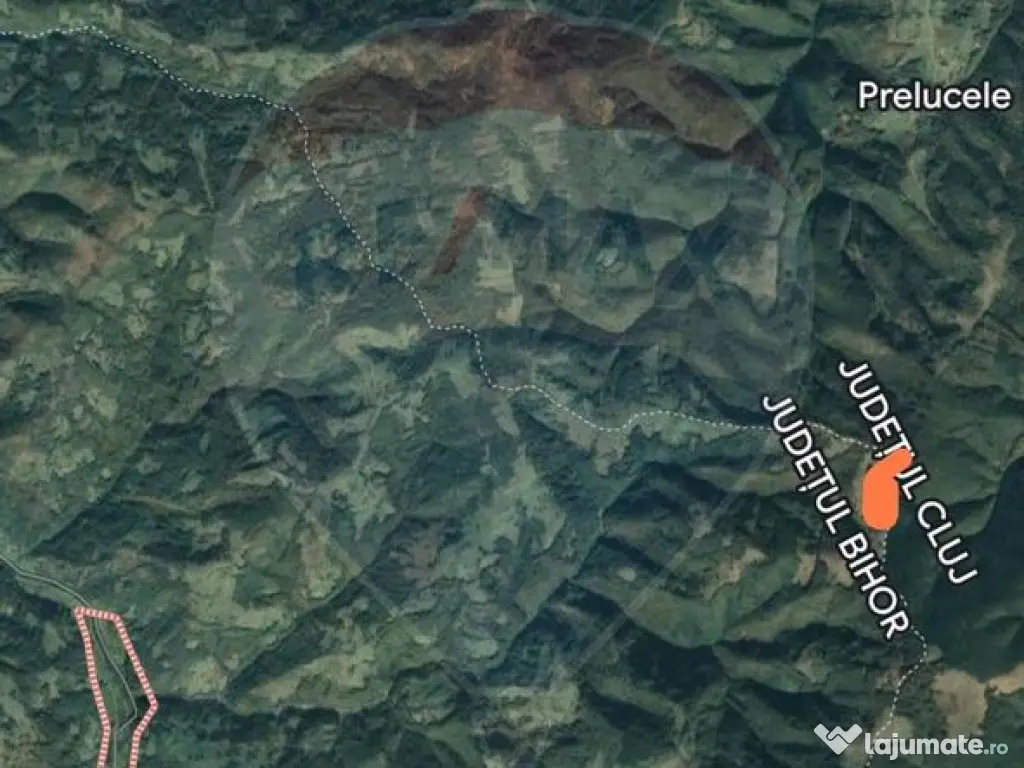 Teren 130000 mp extravilan, faneata si padure, Munteni - ... 