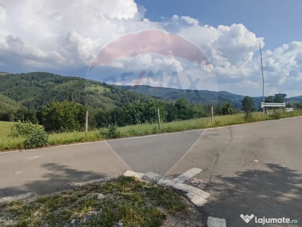 Teren 130000 mp extravilan, faneata si padure, Munteni - ... 