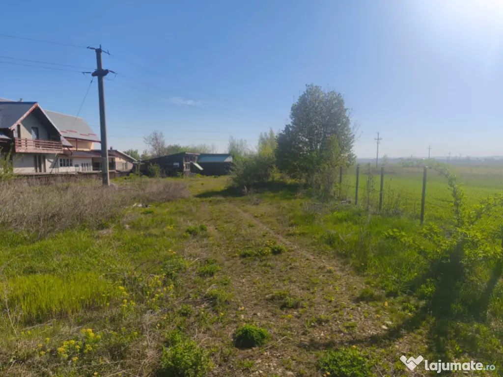 Teren intravilan, 2500mp, front 20ml, Radauti