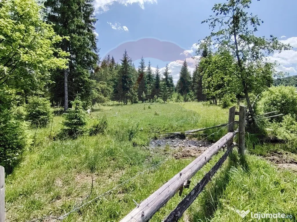 Teren 19,370mp Neagra Sarului / Strada Șestină