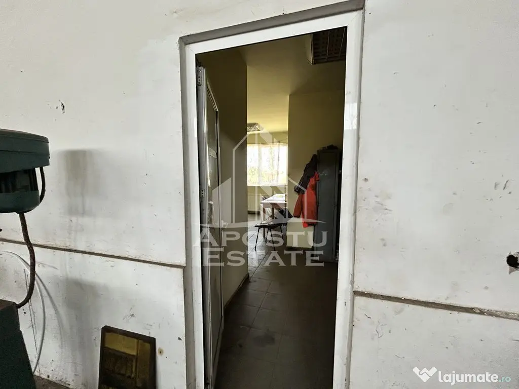 Hala de inchiriat 929 mp, C Aradului - aproape de Satimpe... 